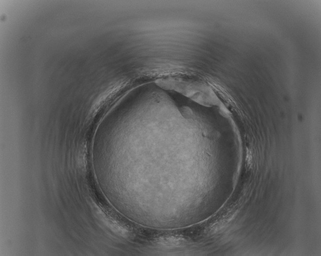 X0000068820586200605121318