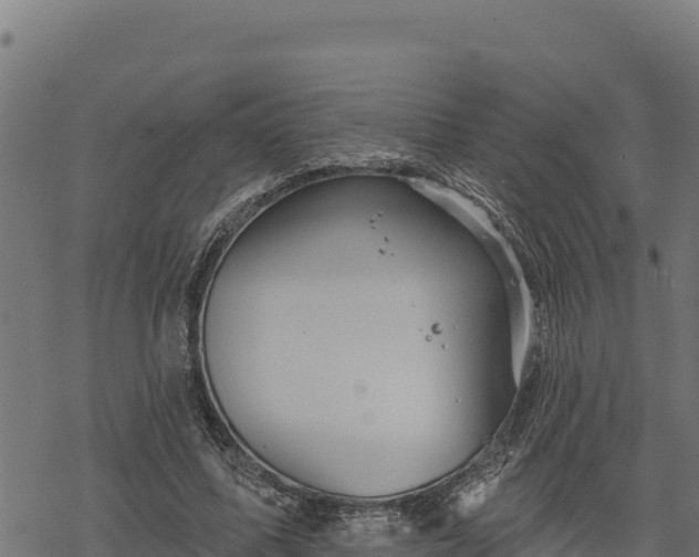 X0000068820587200605121318