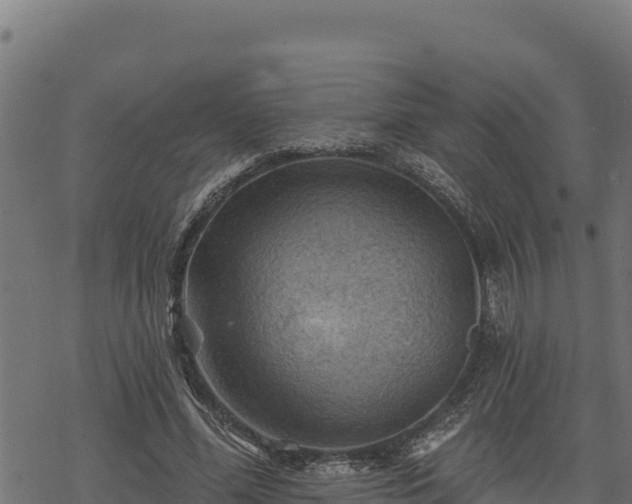 X0000068820588200605121318