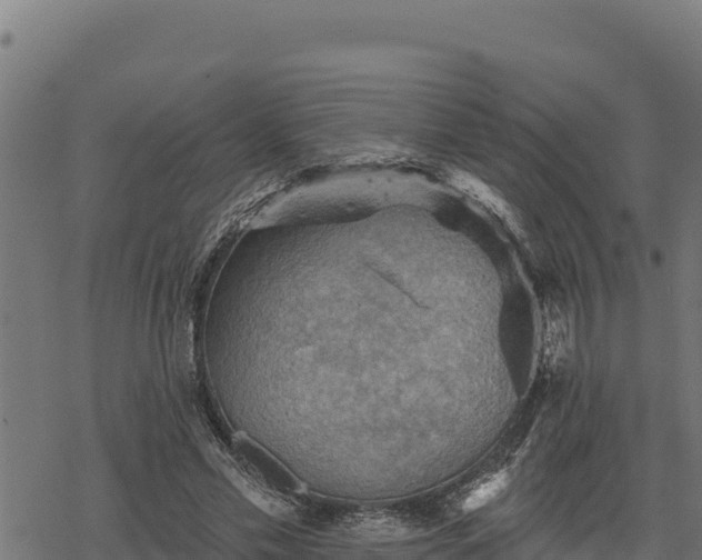 X0000068820589200605121318