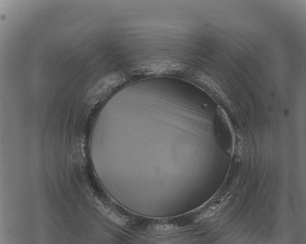 X0000068820590200605121318