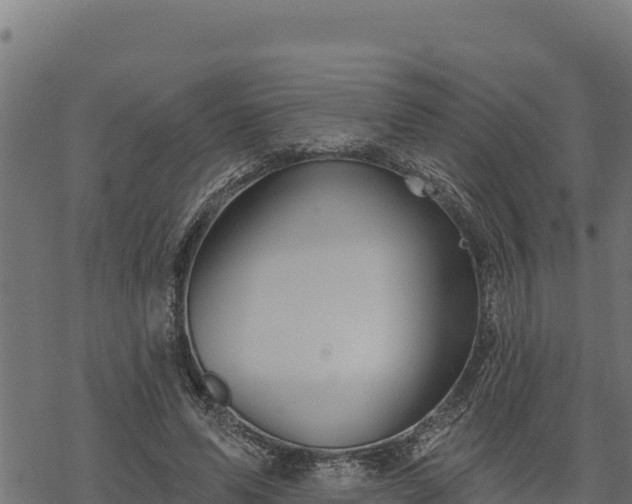 X0000068820591200605121318