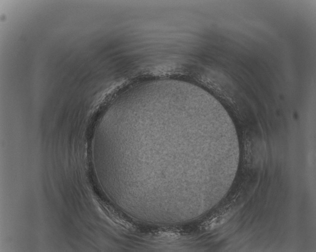 X0000068820592200605121318