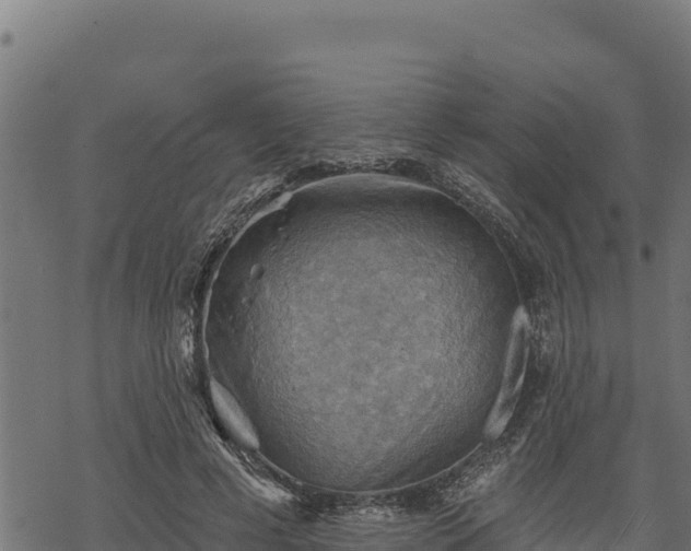 X0000068820593200605121318