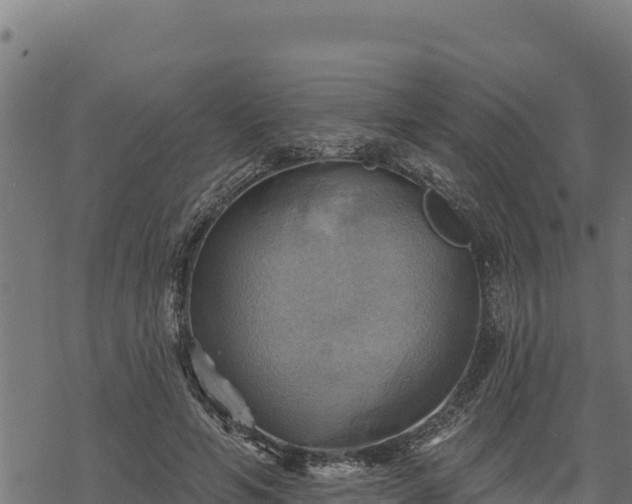 X0000068820594200605121318