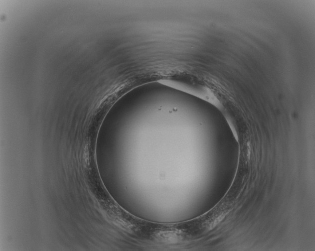 X0000068820595200605121318