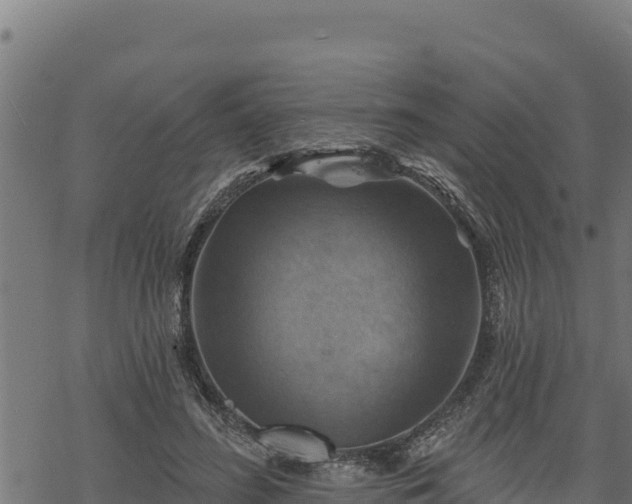 X0000068820596200605121318