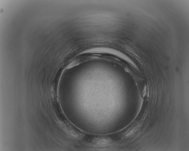 X0000068820597200605121318