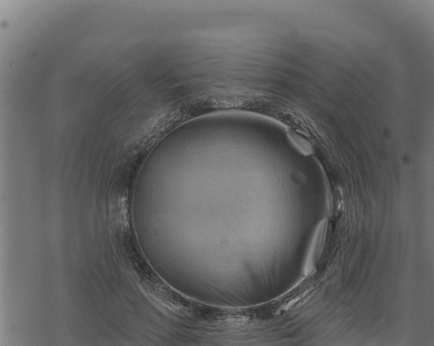 X0000068820598200605121318