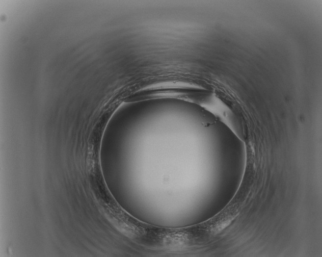 X0000068820599200605121318