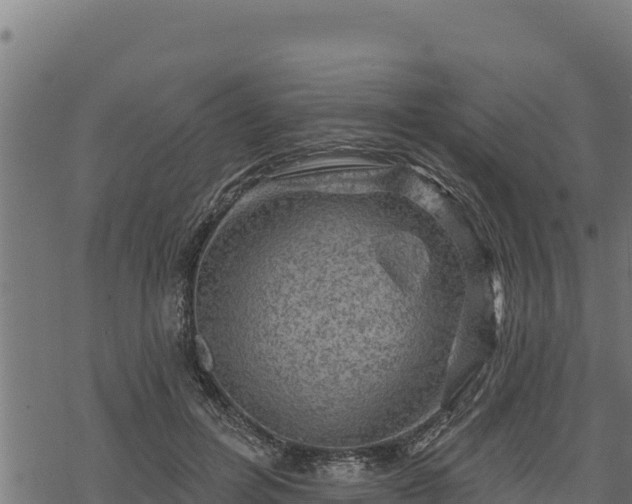 X0000068820600200605121318