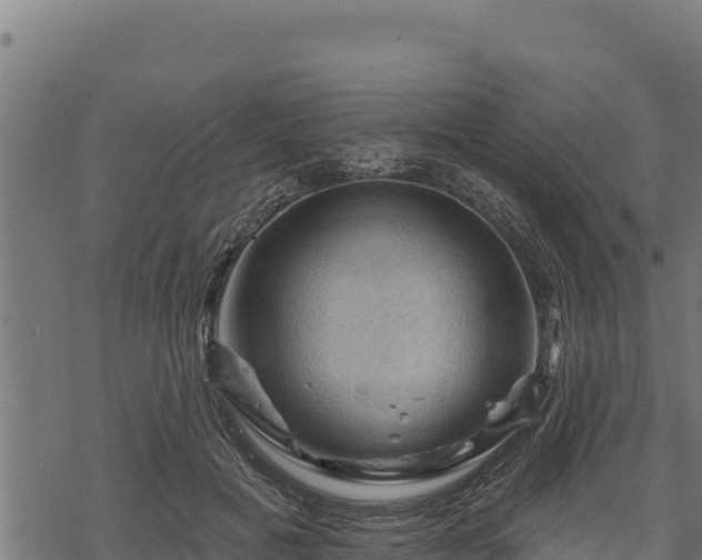 X0000068820601200605121318