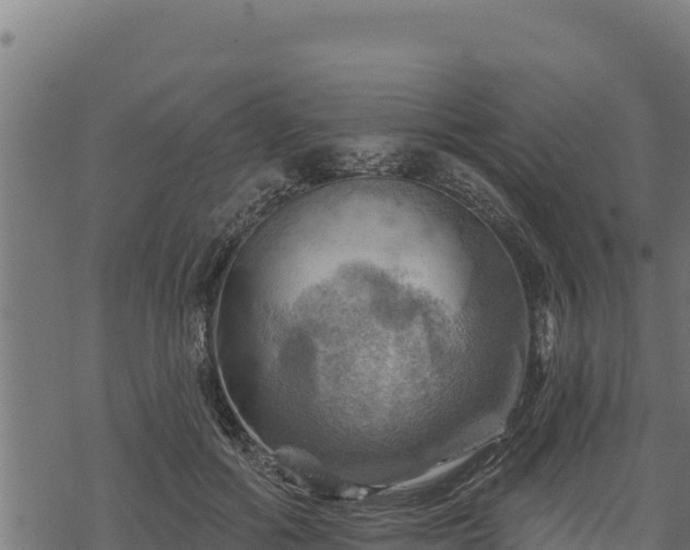 X0000068820602200605121318