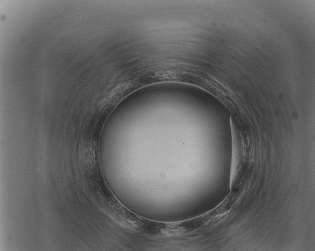 X0000068820603200605121318