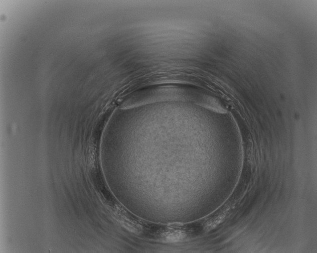 X0000068820604200605121318