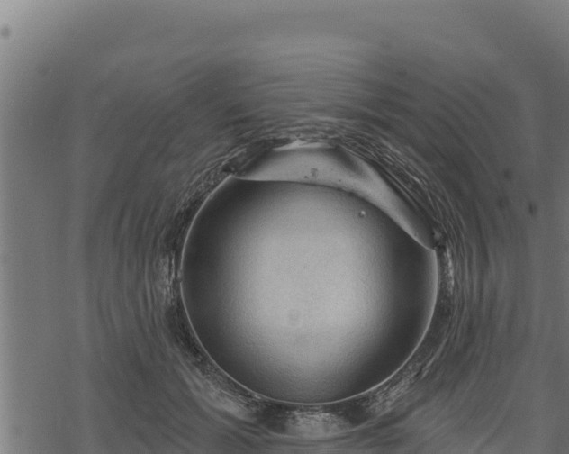 X0000068820605200605121317