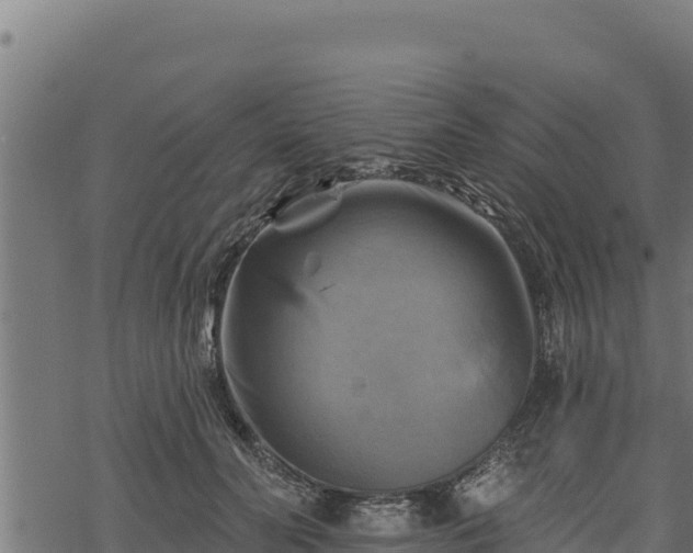 X0000068820606200605121317