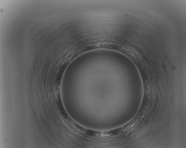 X0000068820607200605121317