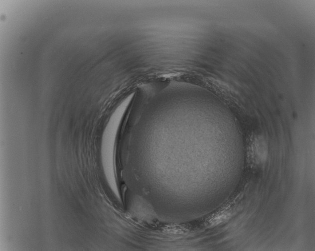 X0000068820608200605121317