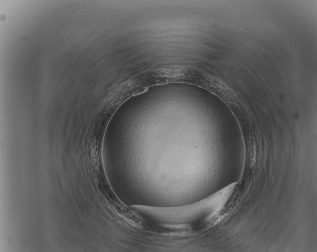 X0000068820609200605121317