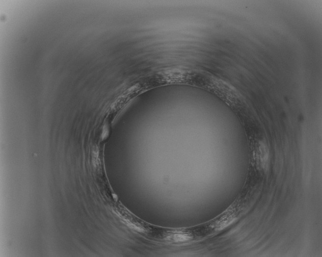 X0000068820610200605121317