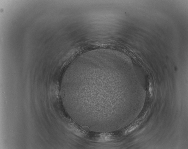 X0000068820612200605121317