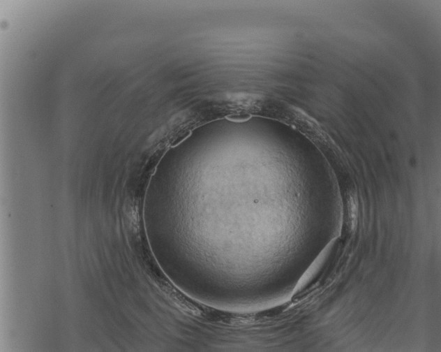 X0000068820613200605121317