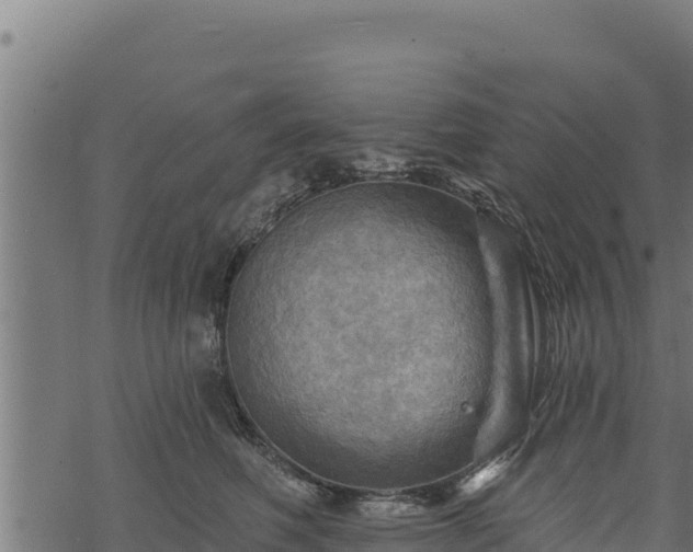 X0000068820614200605121317