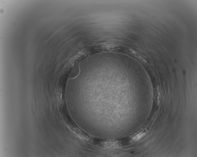 X0000068820615200605121317