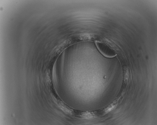 X0000068820616200605121317