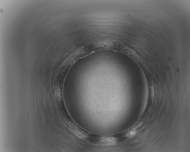 X0000068820617200605121317