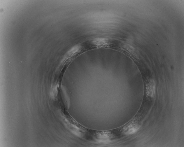 X0000068820618200605121317