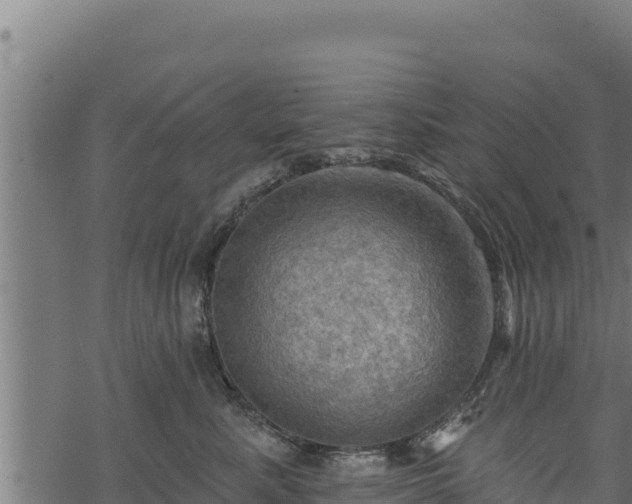 X0000068820619200605121317