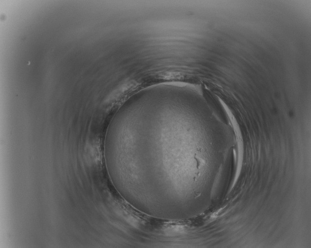 X0000068820620200605121317