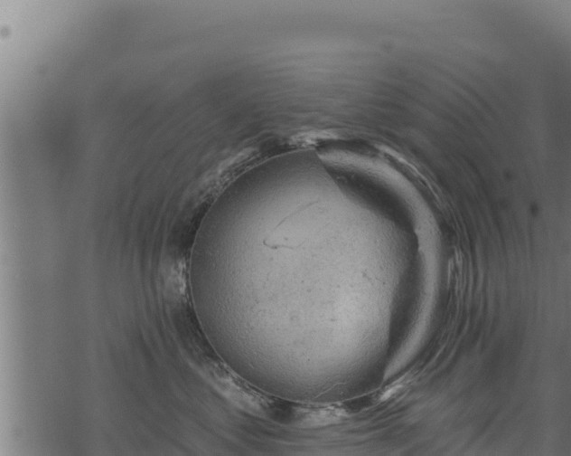 X0000068820621200605121317