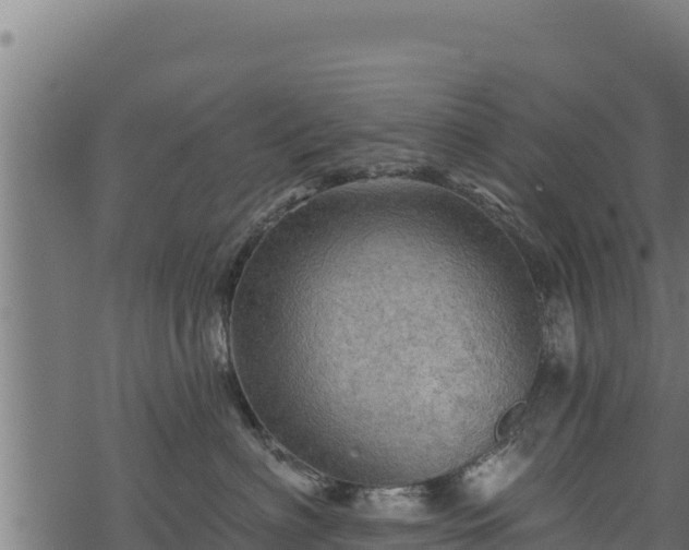 X0000068820622200605121317