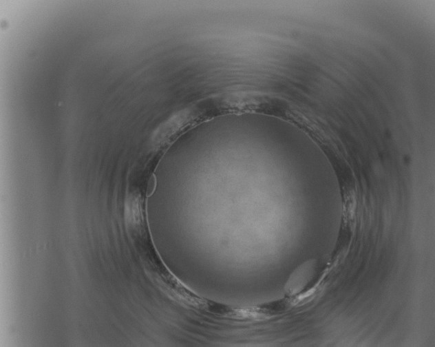 X0000068820623200605121317