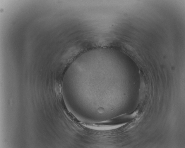 X0000068820624200605121317