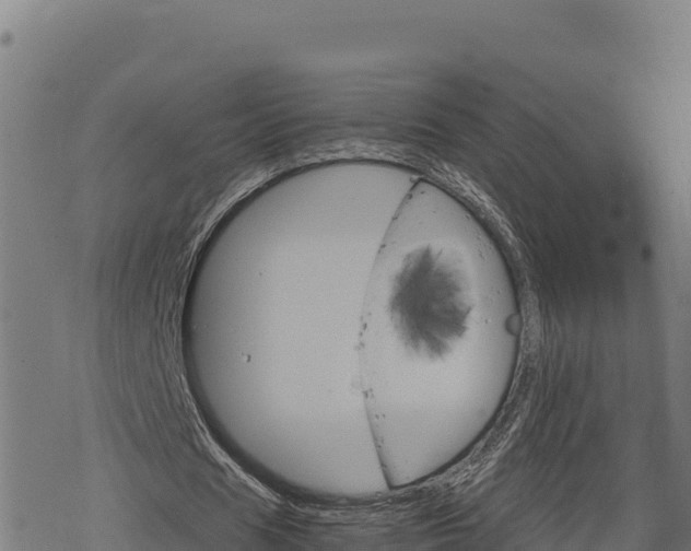 X0000068820625200605121316