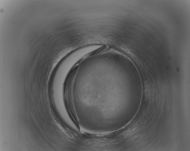 X0000068820626200605121316