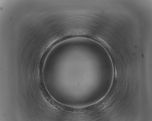 X0000068820627200605121316