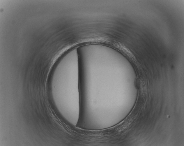 X0000068820628200605121316