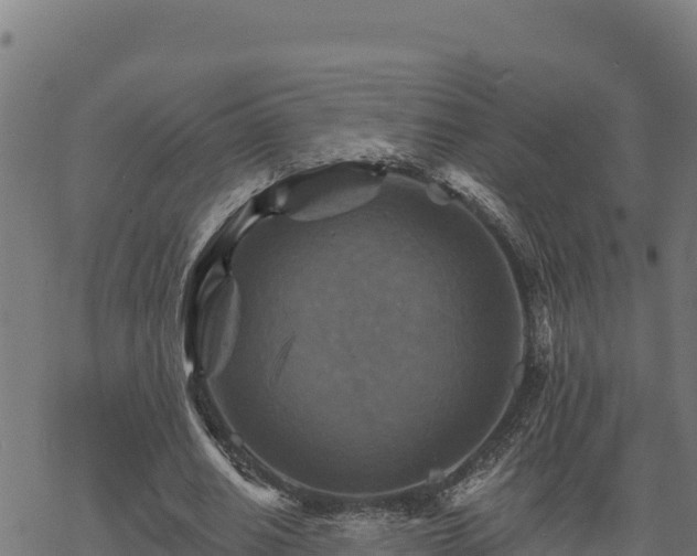 X0000068820630200605121316