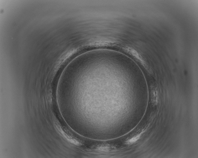 X0000068820631200605121316