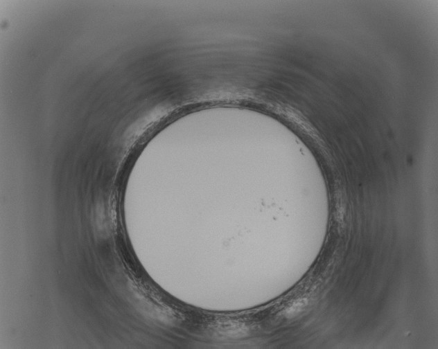 X0000068820632200605121317