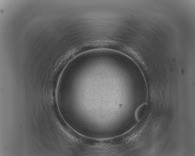 X0000068820633200605121317