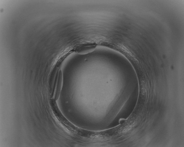 X0000068820634200605121317