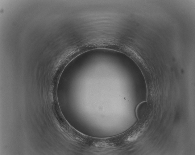 X0000068820635200605121317