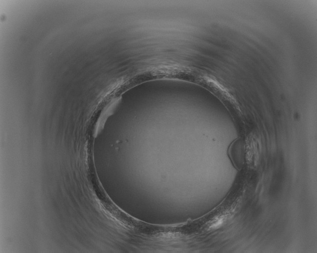 X0000068820637200605121317