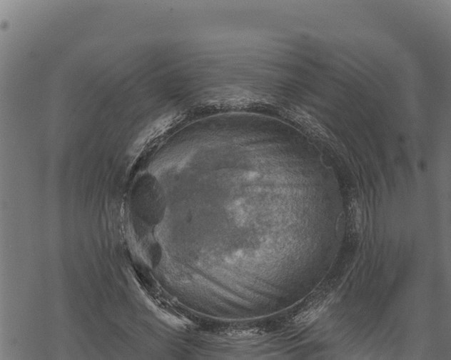 X0000068820638200605121317